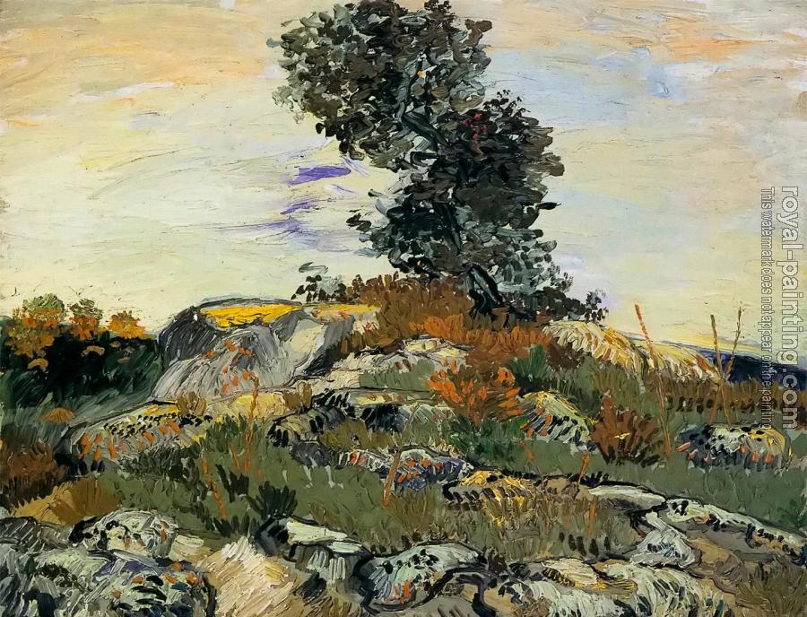 Vincent Van Gogh : Rocks with Tree